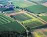 o_Rothamsted Experimt Station